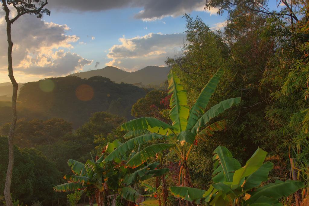 Pousada Coracao Verde Miguel Pereira Buitenkant foto